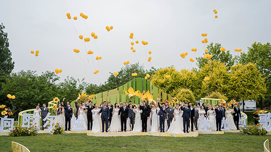 DB���ˡ�(�й���)�ٷ���վ