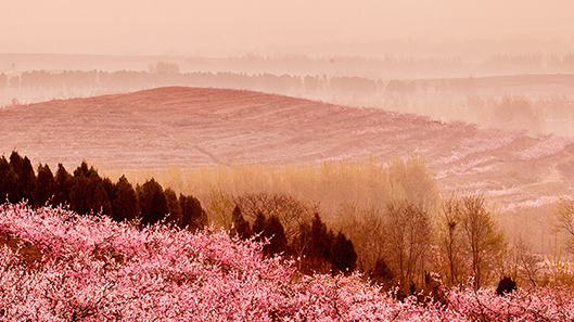 DB���ˡ�(�й���)�ٷ���վ