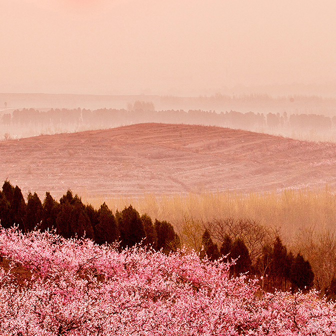 DB�����콢ׯ԰